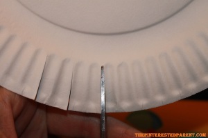 Cut slits around the paper plate every 2 pleats around.